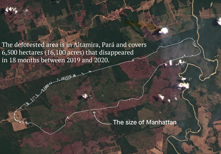 The deforested area is in Altamira, Pará and covers 6,500 hectares (16,062 acres) that disappeared in 18 months between 2019 and 2020. A satellite image of the area with the outline of Manhattan superimposed. They are similar sizes.