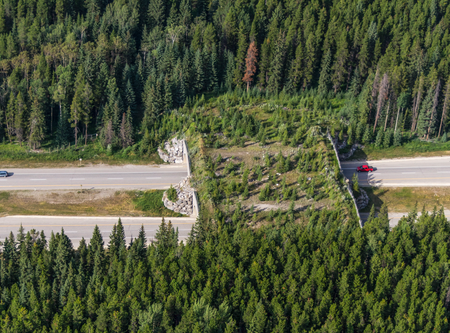 An overpass reconnecting the forest near Banff, Canada.