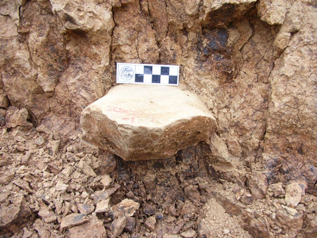 Stone tools discovered in China