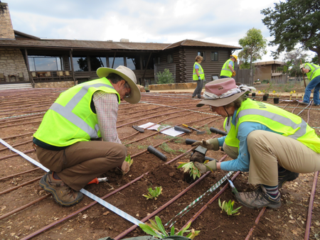 Grand Canyon Association volunteers planting the new demonstration garden on the South Rim in September 2016