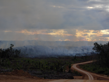 Smoke rising from a Korindo plantation. Mighty says the photos were taken from across a nearby river, probably in 2013.