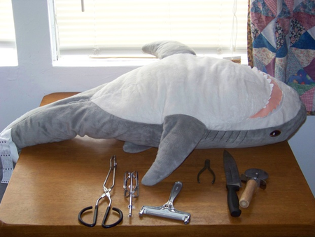 When the internet sends you a shark full of presents, you get out your surgical tools