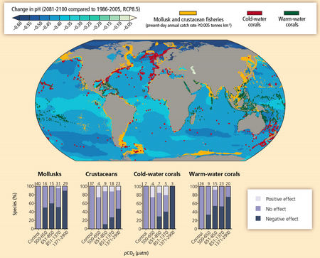 Climate change will mean way less sushi—and way more jellyfish — Quartz