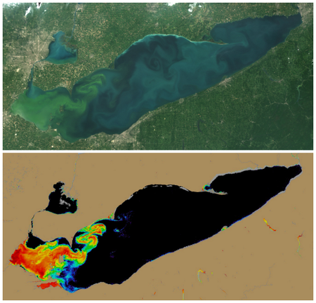 Lake Erie colorized algae bloom HAB forecast