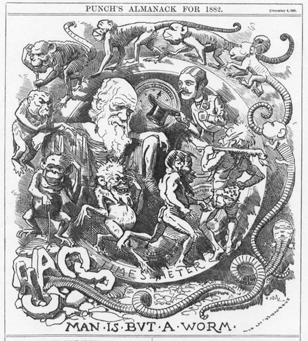 ‘Man Is But A Worm’ caricature of Darwin’s theory