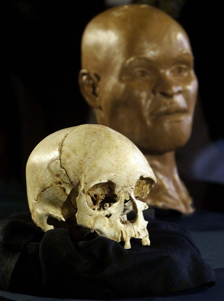 A skull from a woman who lived 11,500 years ago is unveiled at the National Museum in Rio de Janeiro