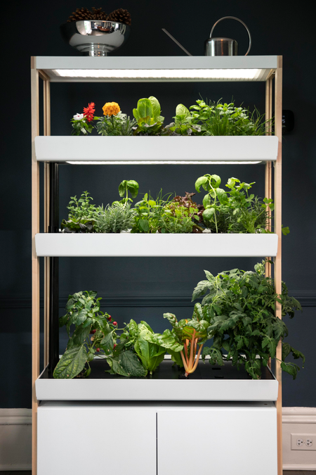 A multi-layered Rise Gardens system built into a shelf