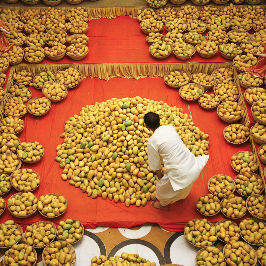 The Bittersweet Tale Of The New Exciting Seedless Mango Quartz India