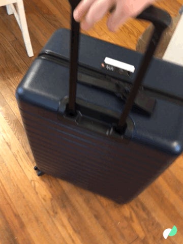 luggage afterpay