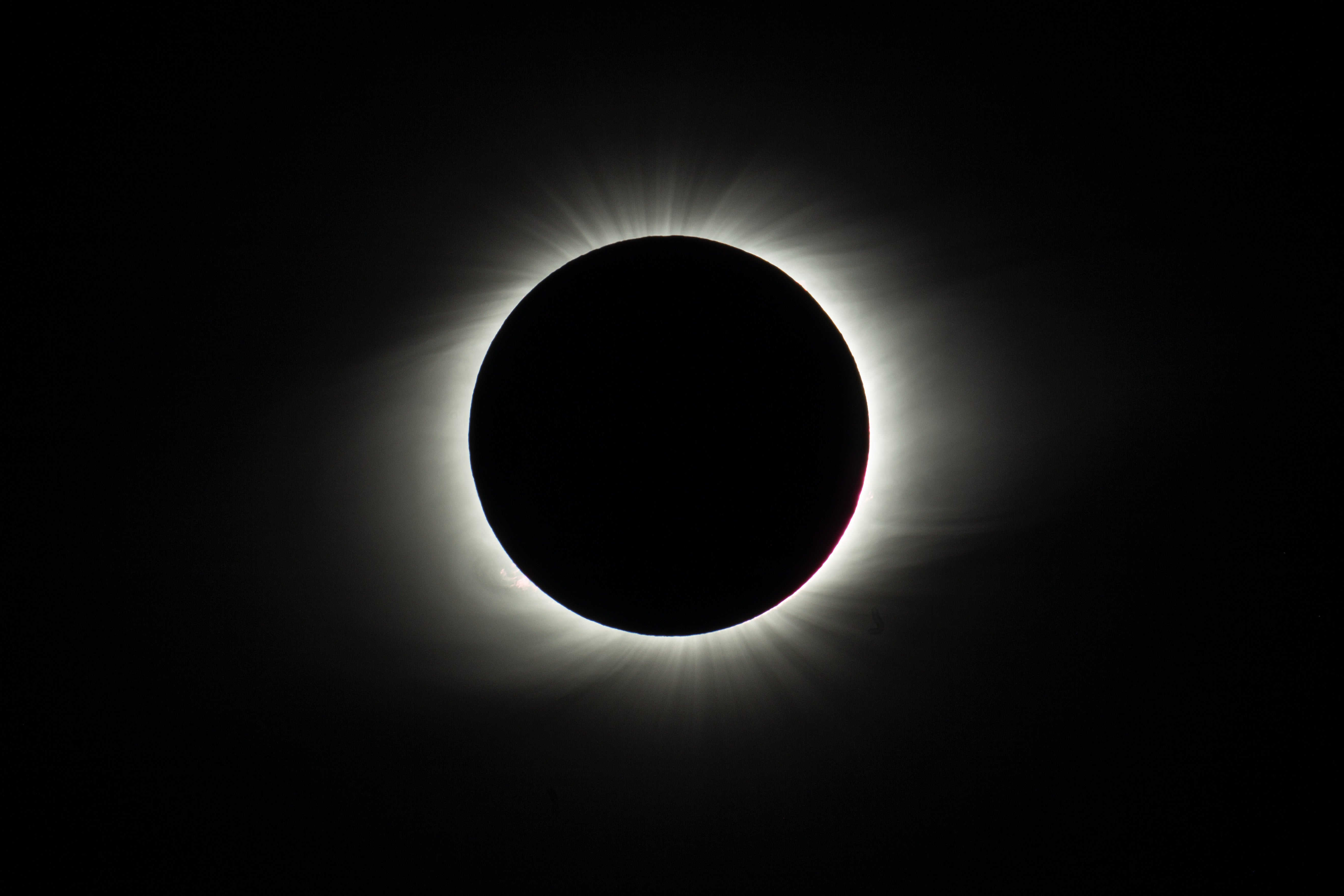 The Coolest Images of This Week's Solar Eclipse Gizmodo UK
