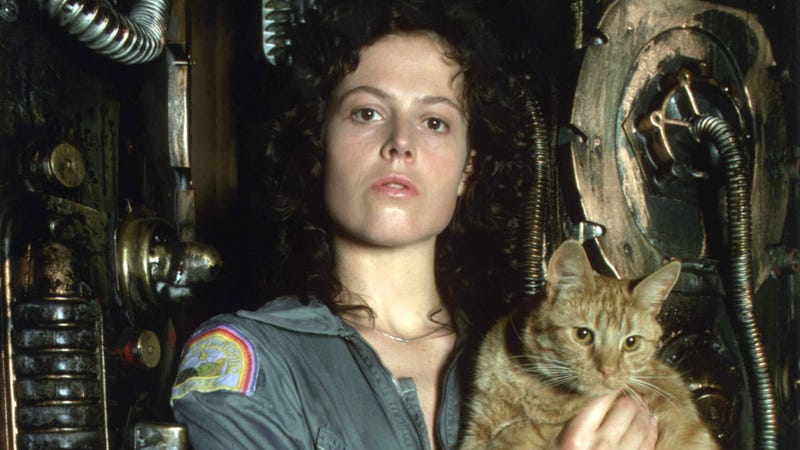 Illustration for article titled Sigourney Weaver celebrates Alien Day by hanging out with the kids that put on that awesome stage version