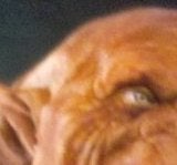 Illustration for article titled First look at Green Lantern's alien trainer, Kilowog!