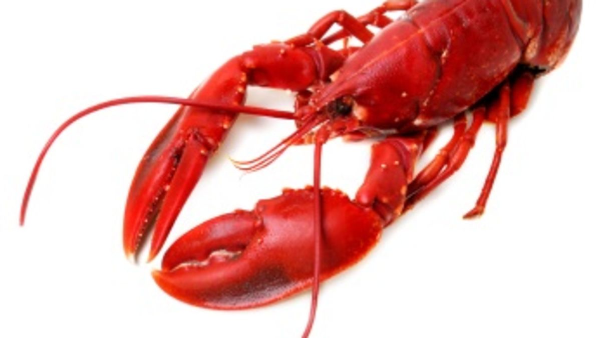 Illustration for article titled Nothing Gained, Nothing Lost