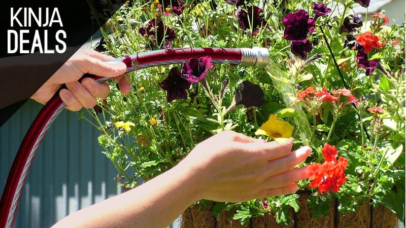 Illustration for article titled Assuming Your State Still Has Water, Here's a Great Garden Hose Deal