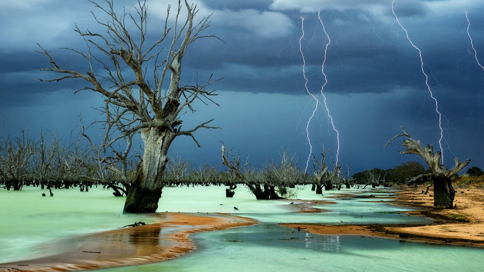 these-are-national-geographic-s-favorite-images-of-the-year