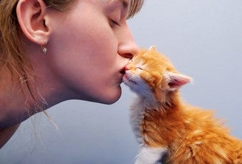 Illustration for article titled Why Crazy Ladies Love Their Cats