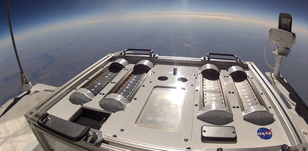 NASA Is Sending Bacteria to the Edge of Space to See if They Can Hitchhike to Mars