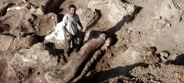These Bones Might Be the Biggest Creature That Ever Walked the Earth