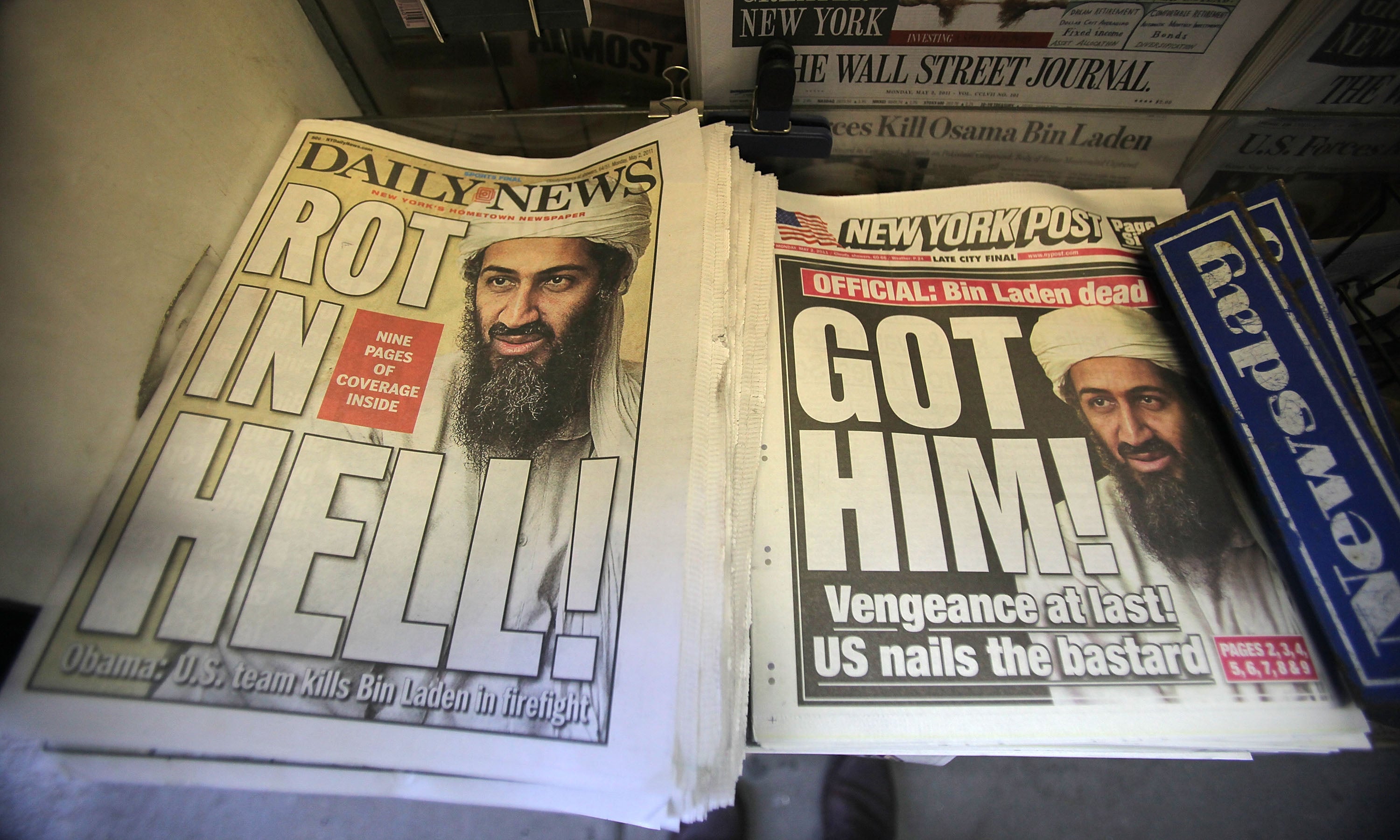 Osama bin laden essay