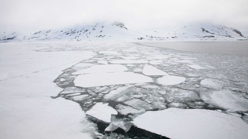 Illustration for article titled Shell Assures Nation Most Arctic Wildlife To Go Extinct Well Before Next Spill