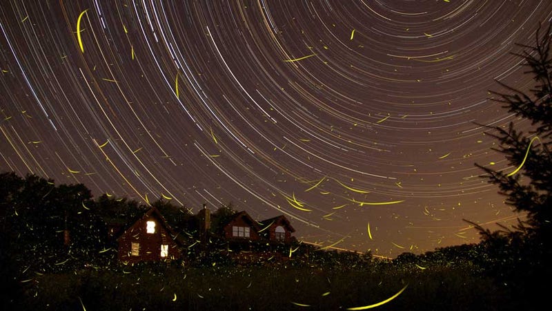 Illustration for article titled How to Take a Gorgeous Photo Like This on a Perfect Summer Night