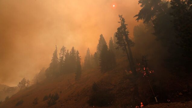 How Australian wildfires worsened African droughts and Atlantic hurricanes How Australian wildfires worsened African droughts and Atlantic hurricanes