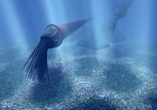 Illustration for article titled Why Do Creationists Place So Much Importance On A Prehistoric Mollusk?