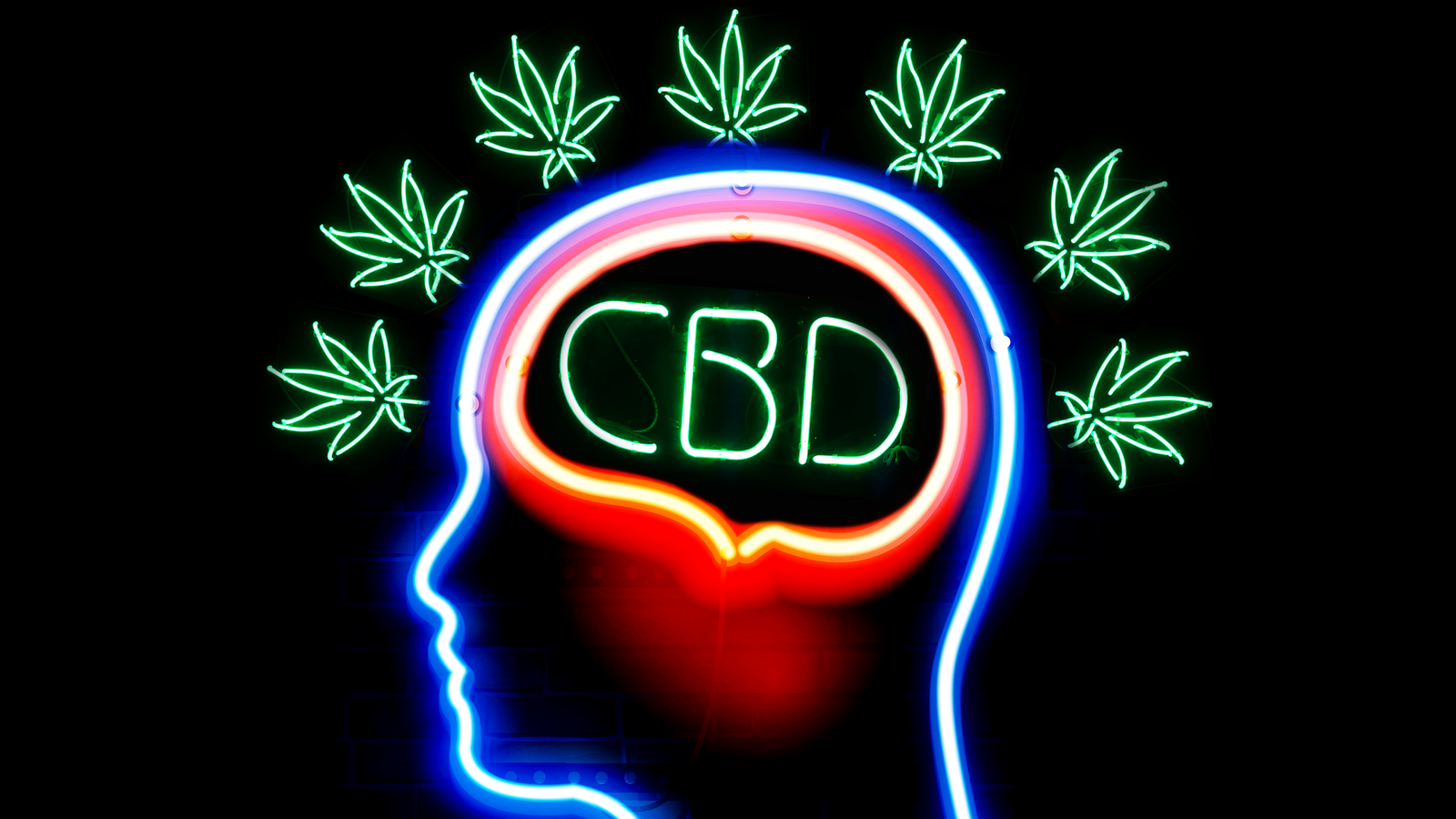 Should You, Your Mom, and Your Dog Be Using CBD?