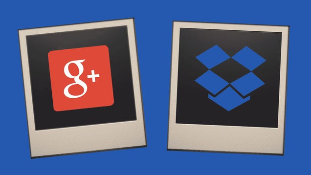 Google vs. Dropbox: Which Is Better for Hosting and Sharing Photos?