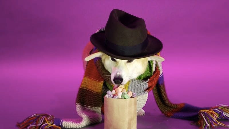 corgi doctor who figures