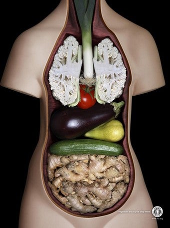 Illustration for article titled Vegetarians: You Are What You Eat
