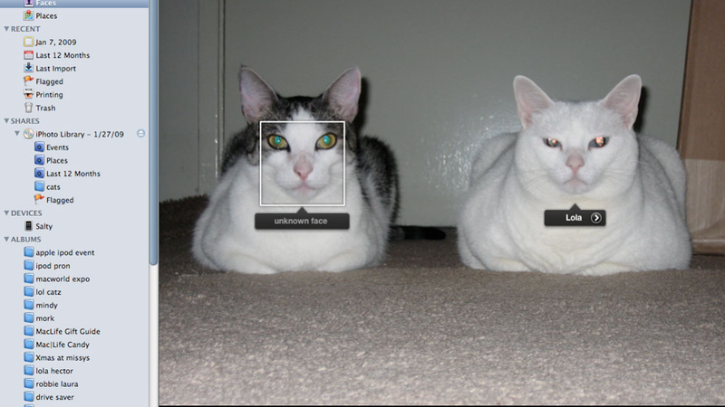 iphoto and photo