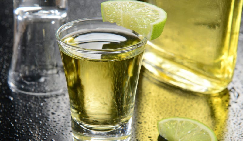 Illustration for article titled Tequila Will Help Us All Lose Weight, Says Most Perfect Study Ever