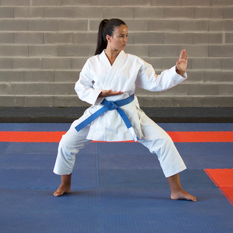 Karate Mats Supplier in India 