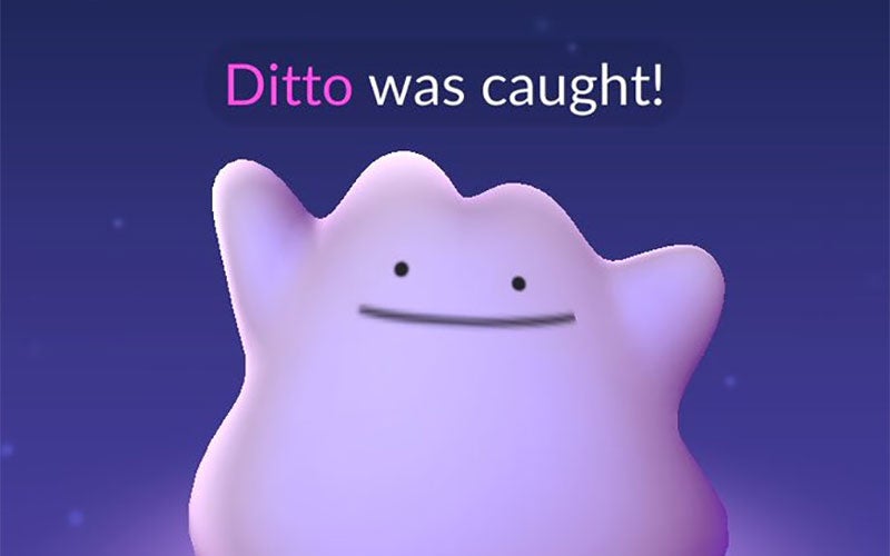 Pokemon GO players have begun to find the elusive Ditto