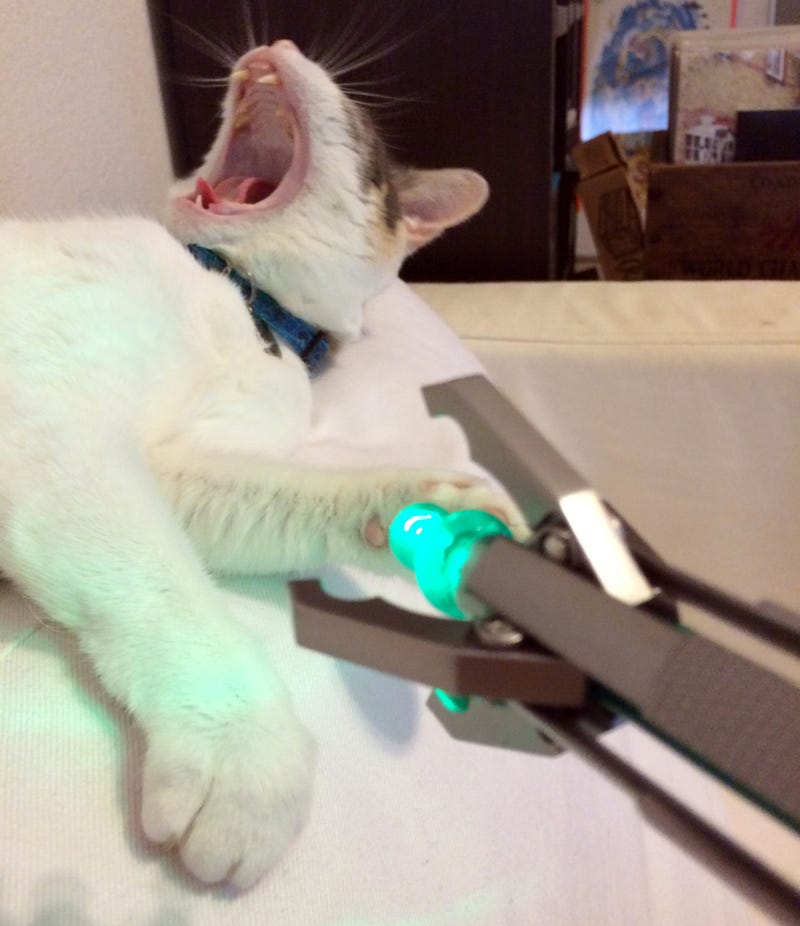 Illustration for article titled Doesn't work on wood, works on cats.