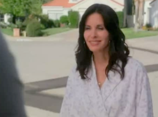 Illustration for article titled 5 Reasons Why Courteney Cox's Cougar Town Looks Awful