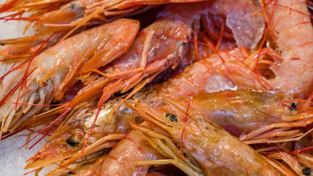 man finds shrimp in cinnamon toast crunch