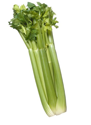 Illustration for article titled Veggie-Brained Diet Doctors Promote Veggie-Shaped Bodies