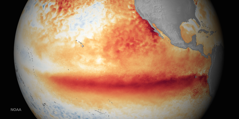 Illustration for article titled This Year's Godzilla El Niño Could Be the Worst Ever Recorded