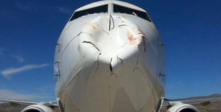 Illustration for article titled Bird Strike Does Disturbing Damage To The Nose Of A 737