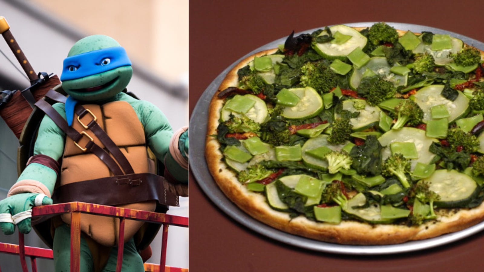 baby ninja turtles eatond pizza