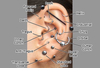 Illustration for article titled PIERCINGS! In Which I Detail Poor Impulse Control