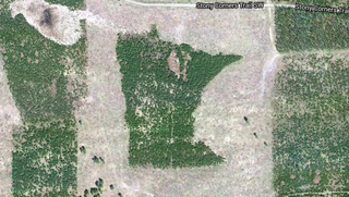 Illustration for article titled There's A Forest Shaped Like Minnesota In Northern Minnesota