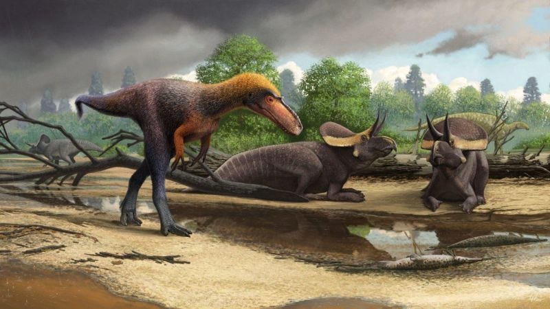 Imagen artística del Suskityrannus hazelae.Ilustración: Virginia Tech, Andrey Atuchin