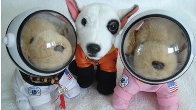 stuffed animal in space