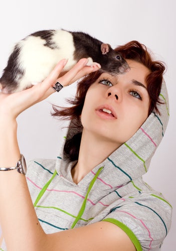 Illustration for article titled Proof that female humans and female rats have very similar tastes