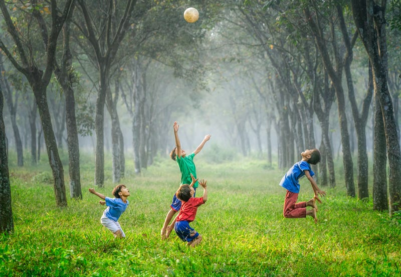 Illustration for article titled Safety Tips for Outdoor Play