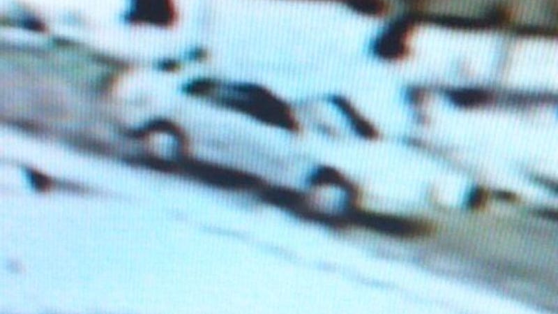 Illustration for article titled Help Identify The Car That Might Have Killed A Man And His Dog