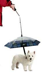 Illustration for article titled Pet Umbrella